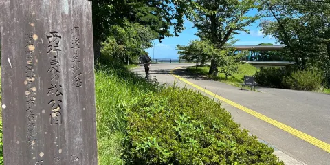 西行折回之松公園