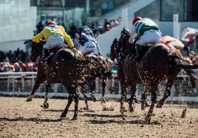 Dundalk Stadium