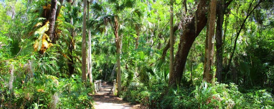Green Springs Park