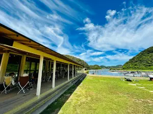 Dolphin Park