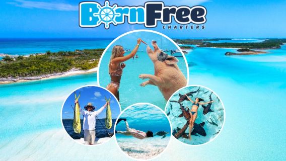 Born Free Charters