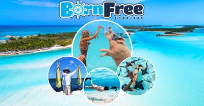 Born Free Charters