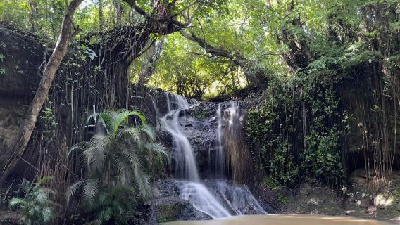 Latille Waterfalls and Gardens