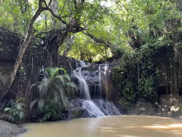 LaTille Falls & Garden