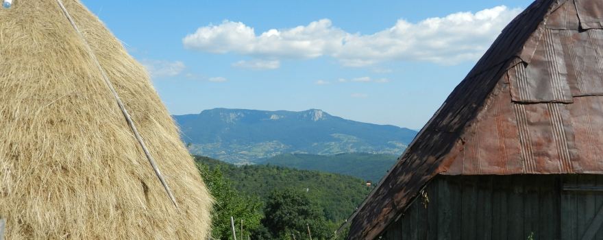 Istocni Stari Grad