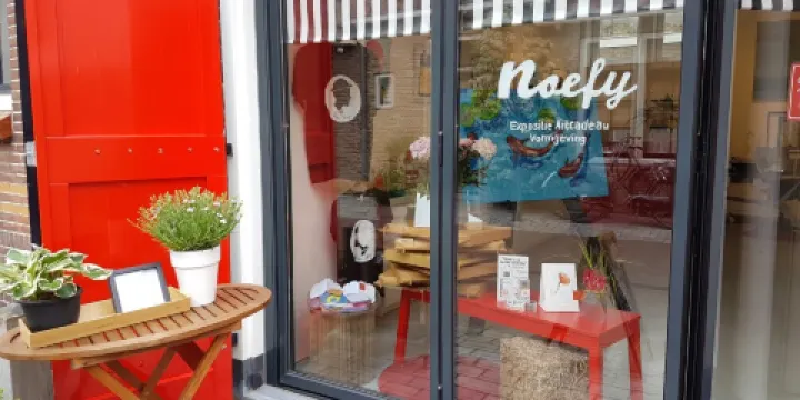 Noefy gallery