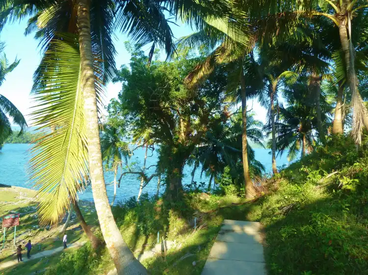 Hotels near Neil Island, Andaman