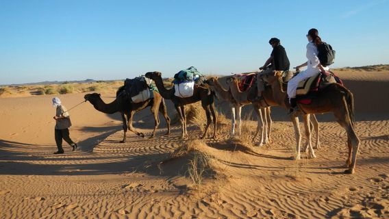 Aventures Verticales Maroc