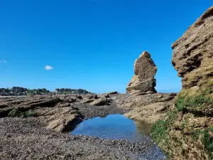 쁠라쥬 드 라 민느 도흐