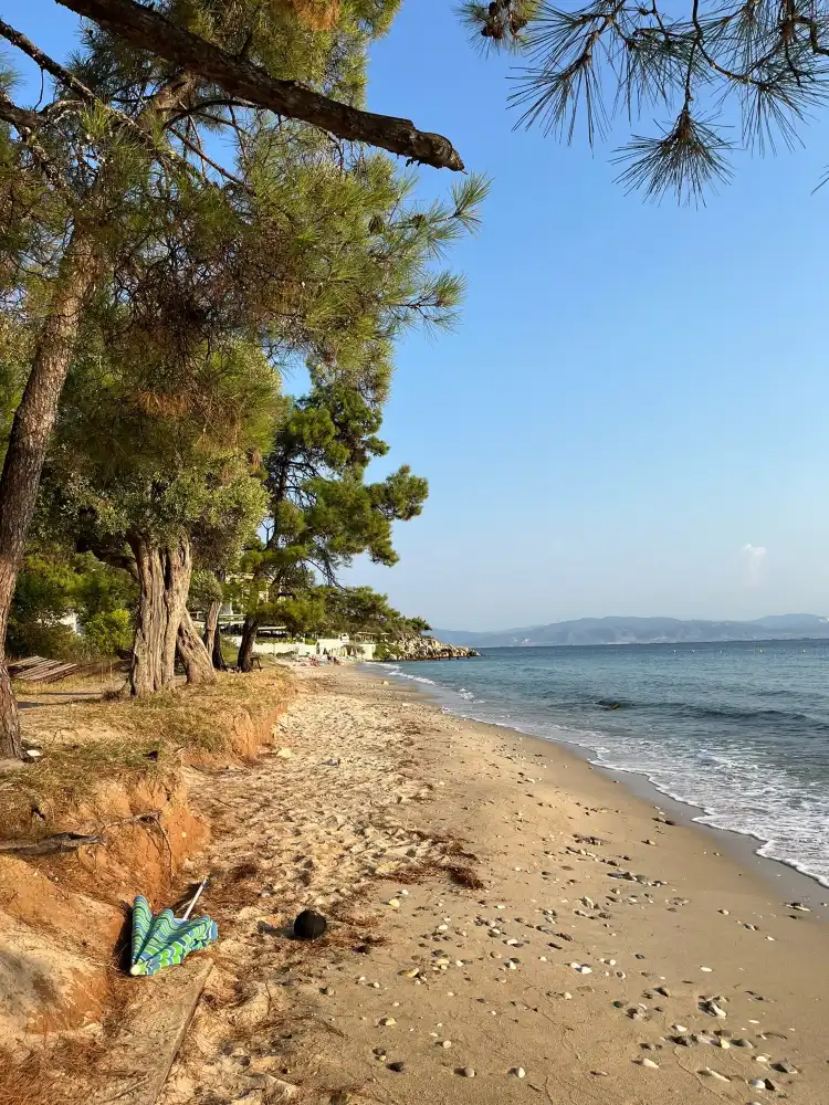 Hotels near Nisteri Beach