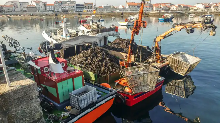 Isla de Arosa 호텔