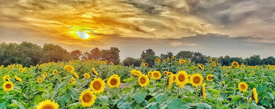 Leavenworth County