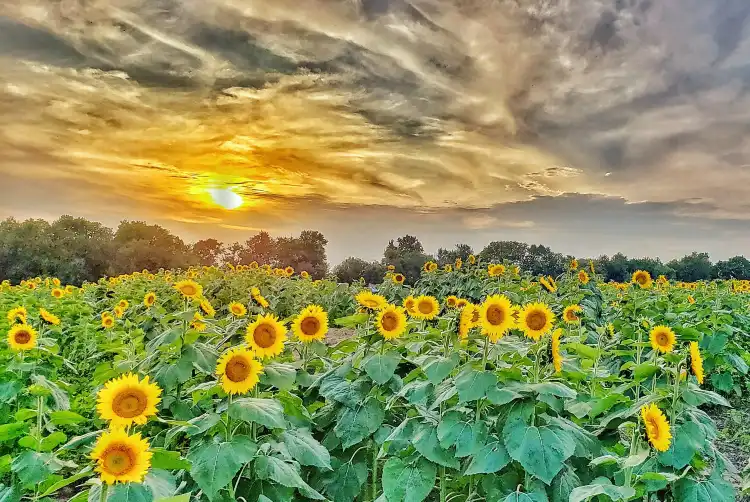 Leavenworth County