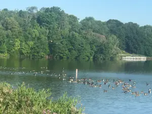 Guilford Lake State Park