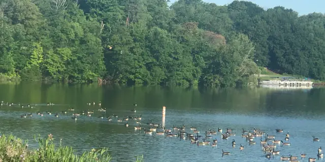 Things to Do in Columbiana: Unforgettable Local Adventures