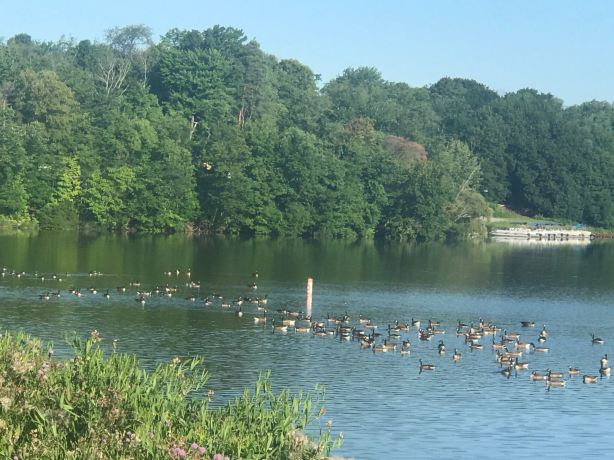 Guilford Lake State Park