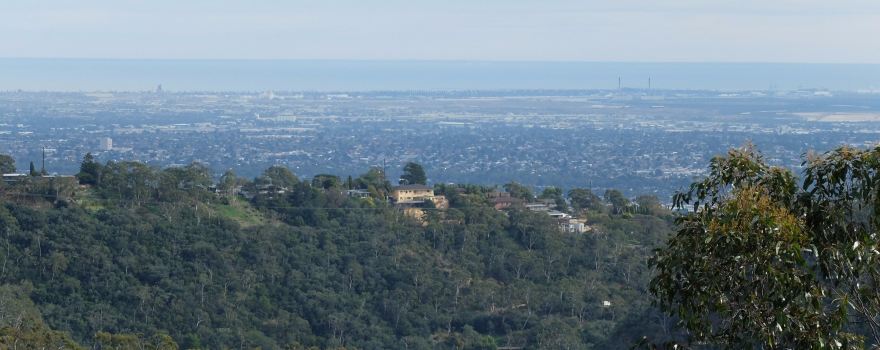 Horsnell Gully