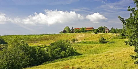 Ca' Nova Vigne & Vini