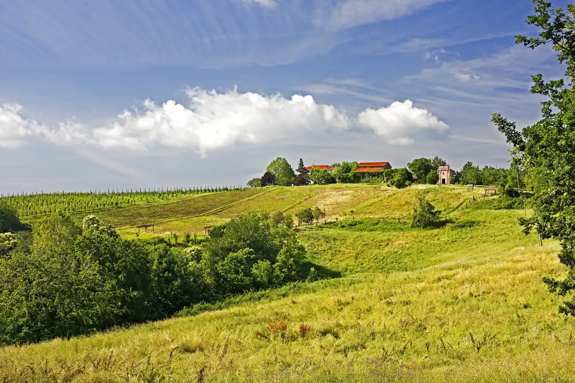 Hotel in zona Ca' Nova Vigne & Vini