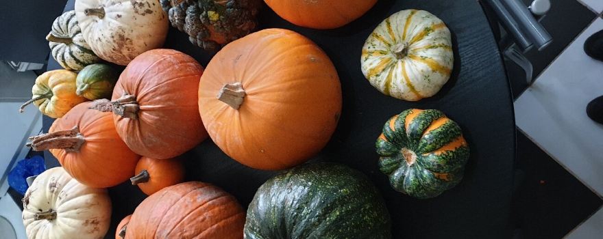Pick up a Pumpkin Maxeys Farm Shop