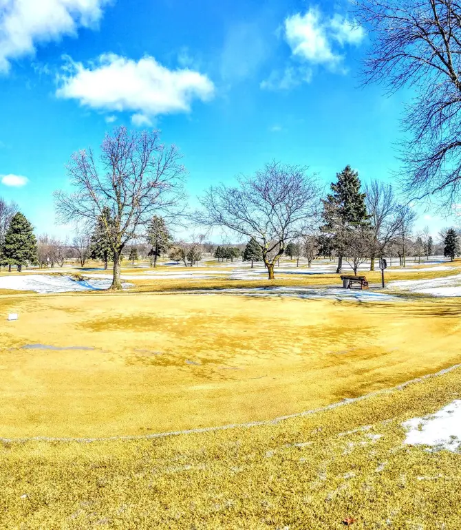 Ledgeview