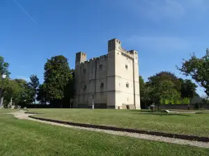 Donjon de Chambois