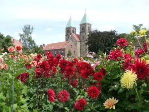Dahliengarten Legden