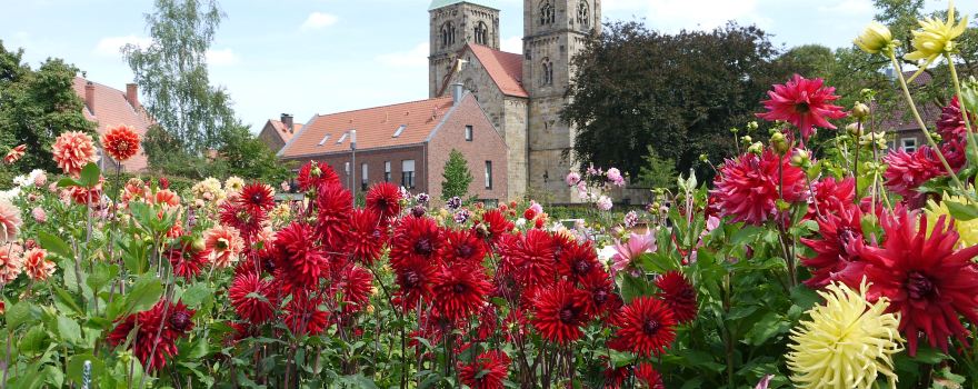 Dahliengarten Legden