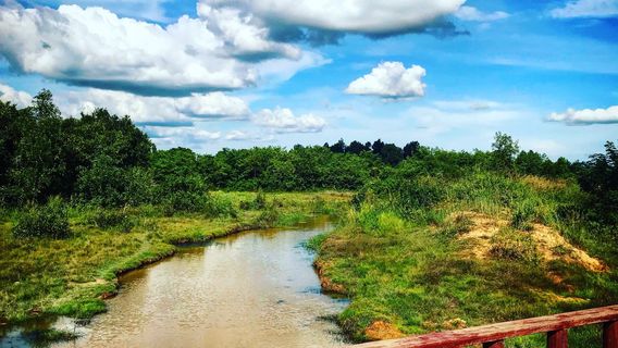 SvayChek Organic Farm