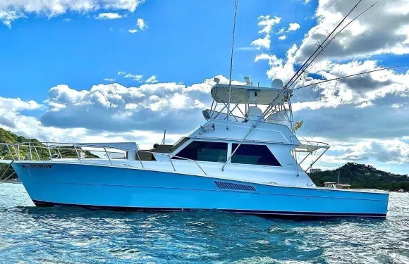 普拉亞 弗拉明戈