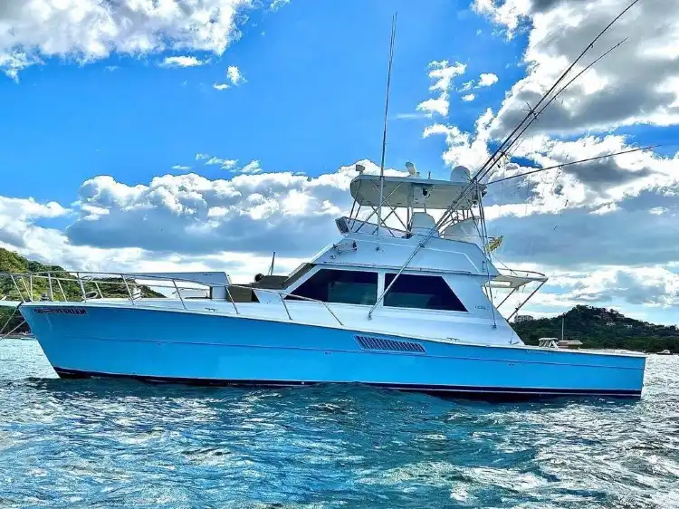 Hotels near Why Not Oceanic Sailing Experience