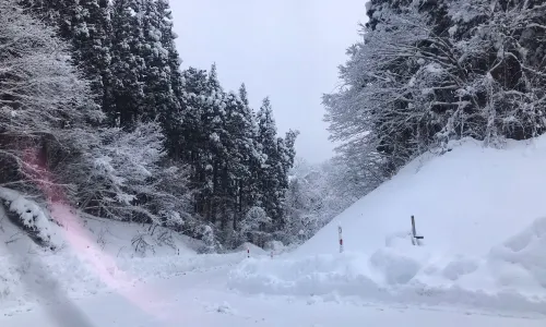 Tendo Kogen Ski Resort