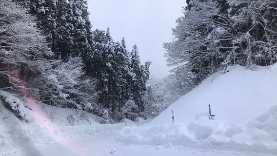 Tendokogen Ski Resort