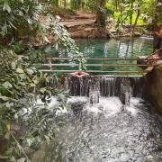 ธรรมชาติและสัตว์ป่า