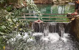 น้ำผุดธรรมชาติบ้านท่าช้าง (น้ำผุดปากช่อง)