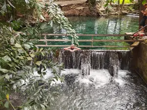 Ban Tha Chang Spring
