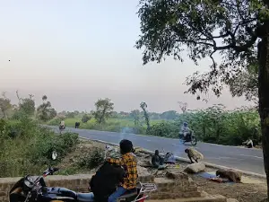 Paniyara Forest
