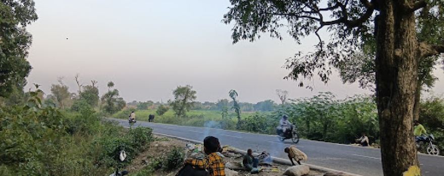Paniyara Forest
