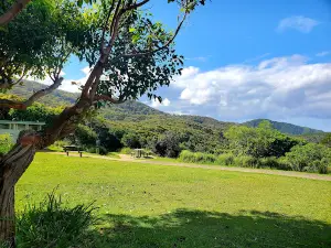 Smoky Cape picnic area