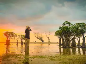 Rote island