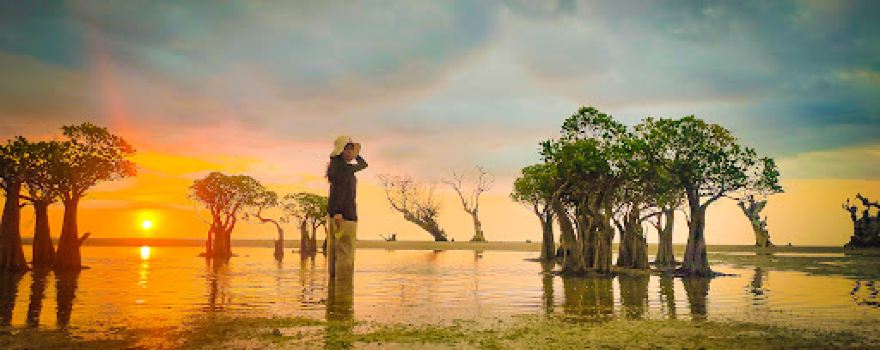 Rote island
