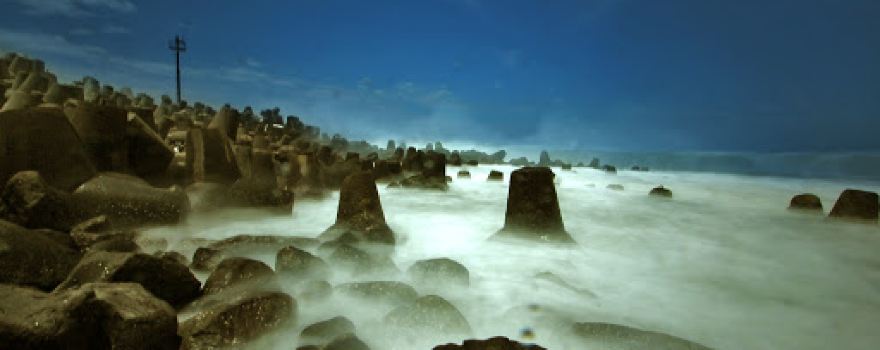 Kebun Bunga Matahari Pantai Glagah
