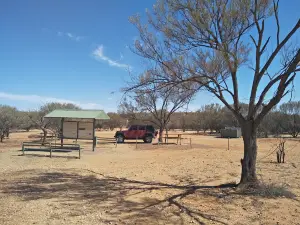 Olive Downs campground