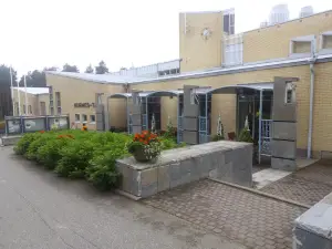 Kino hannikainen