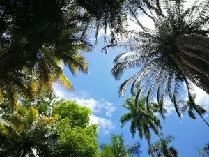PRINCIPAL EL BORDO Park