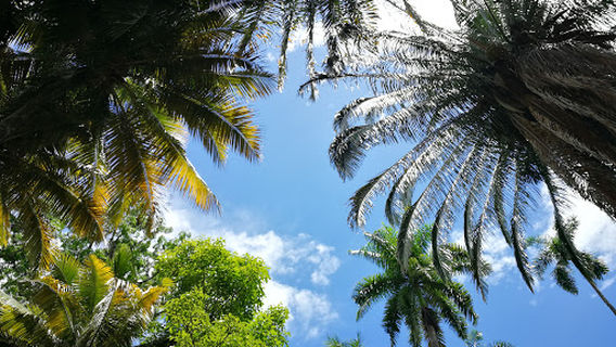 PRINCIPAL EL BORDO Park