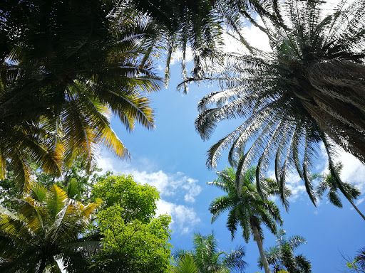 PRINCIPAL EL BORDO Park