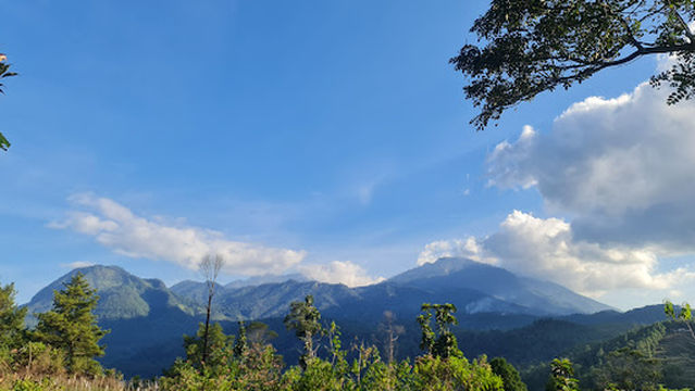 Romantic Camp Bistro