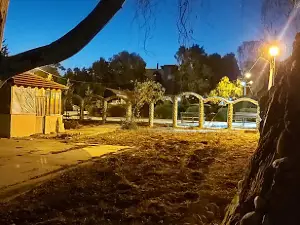 Tunis Garden