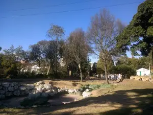 Bosque De La República
